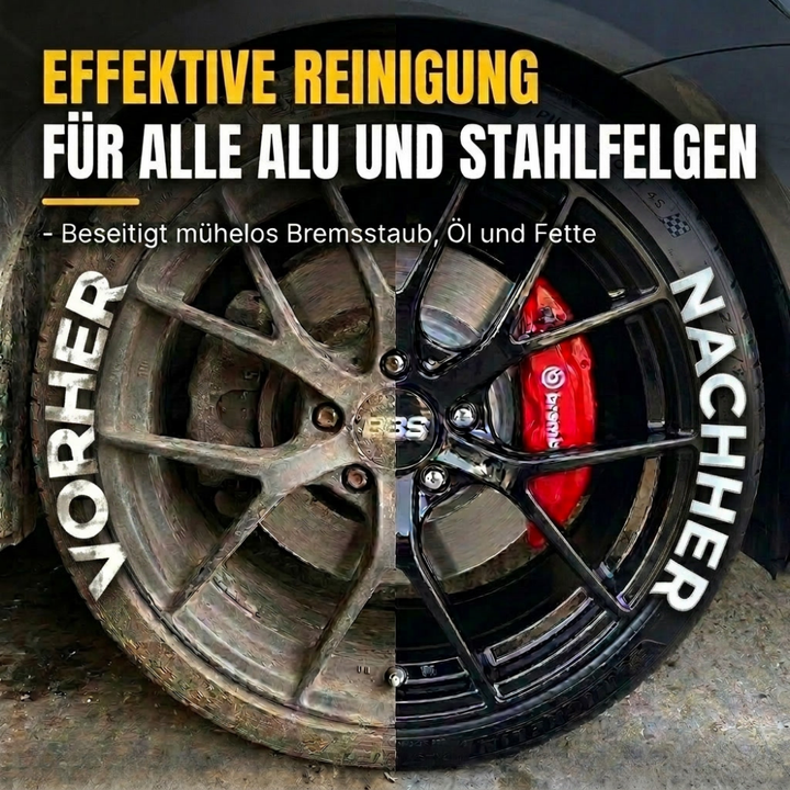 #grosse_felgenbuerste-professional