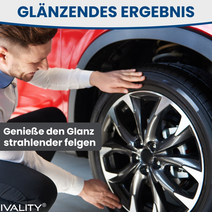 #grosse_felgenbuerste-klein