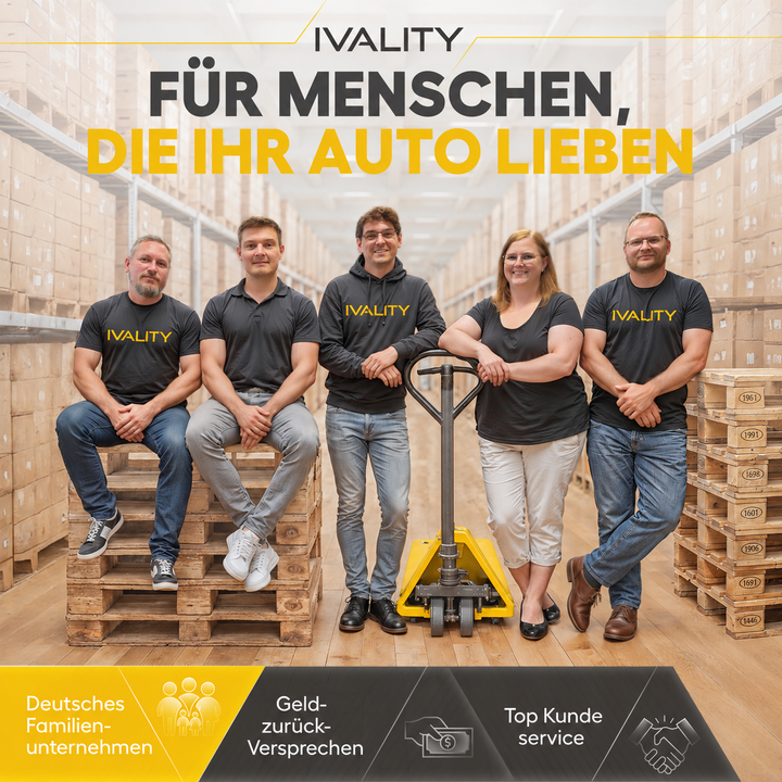 #grosse_felgenbuerste-professional